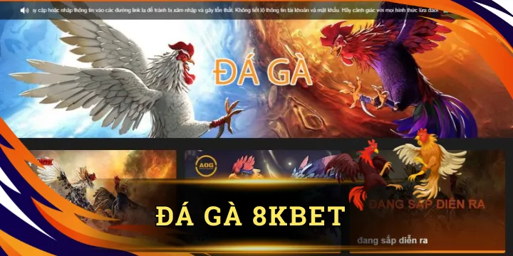Đá gà 8kbet – Trải nghiệm đỉnh cao với game cược trực tuyến